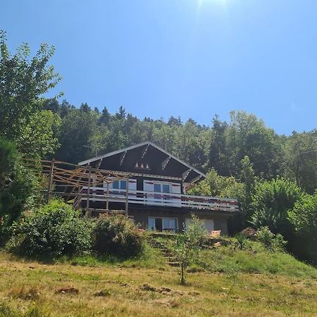 Le Chalet Des Amis Aurec-Sur-Loire エクステリア 写真
