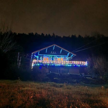 Le Chalet Des Amis Aurec-Sur-Loire エクステリア 写真