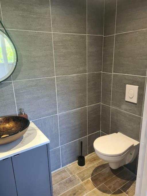 Le Chalet Des Amis Aurec-Sur-Loire エクステリア 写真