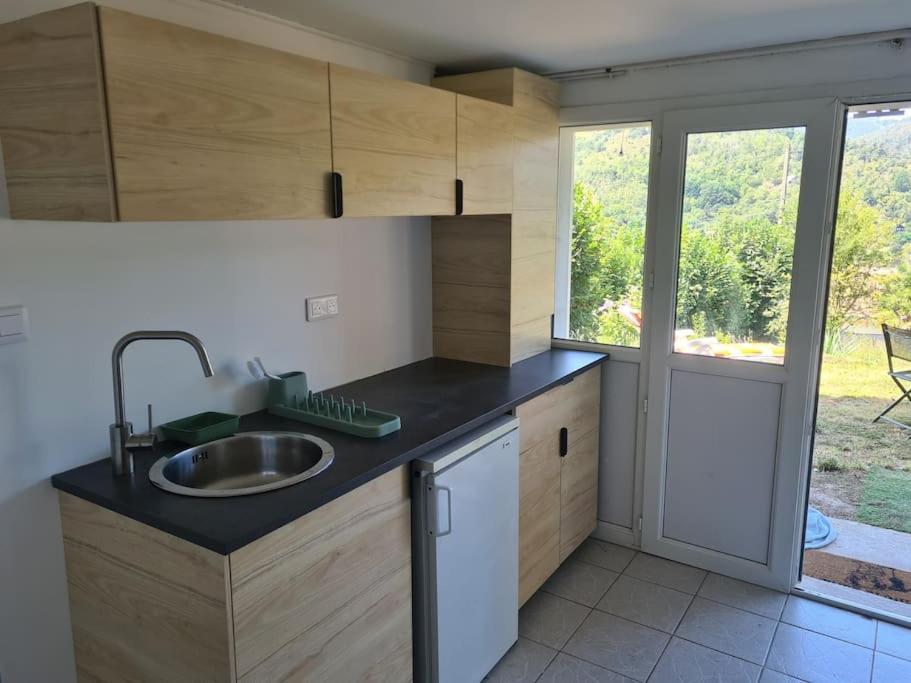 Le Chalet Des Amis Aurec-Sur-Loire エクステリア 写真